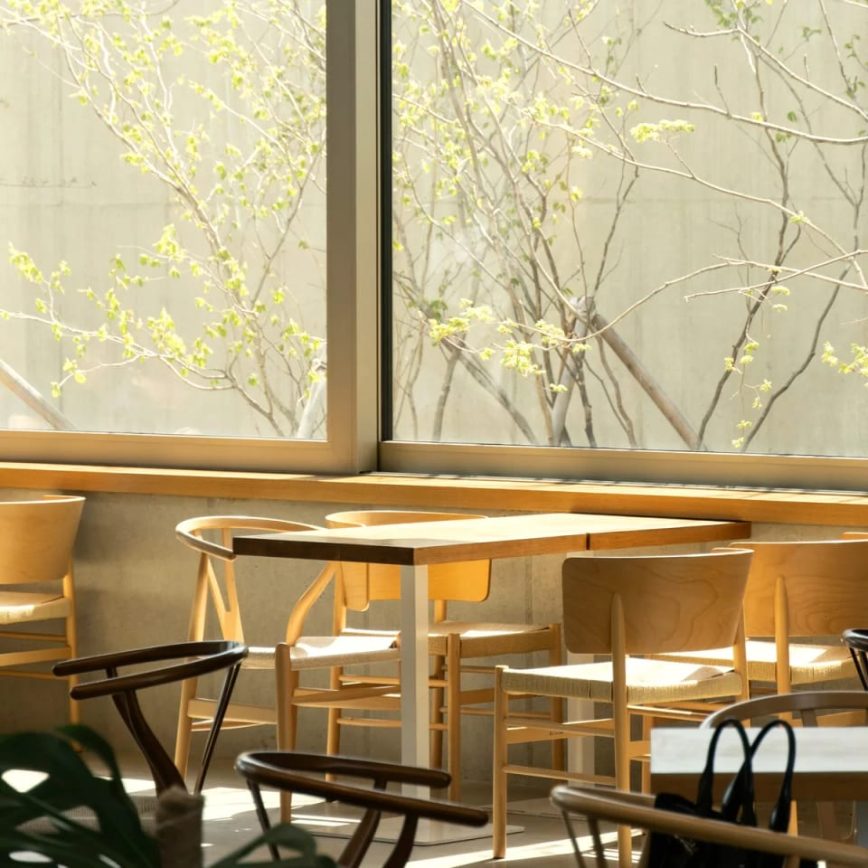 The Coffee Belt