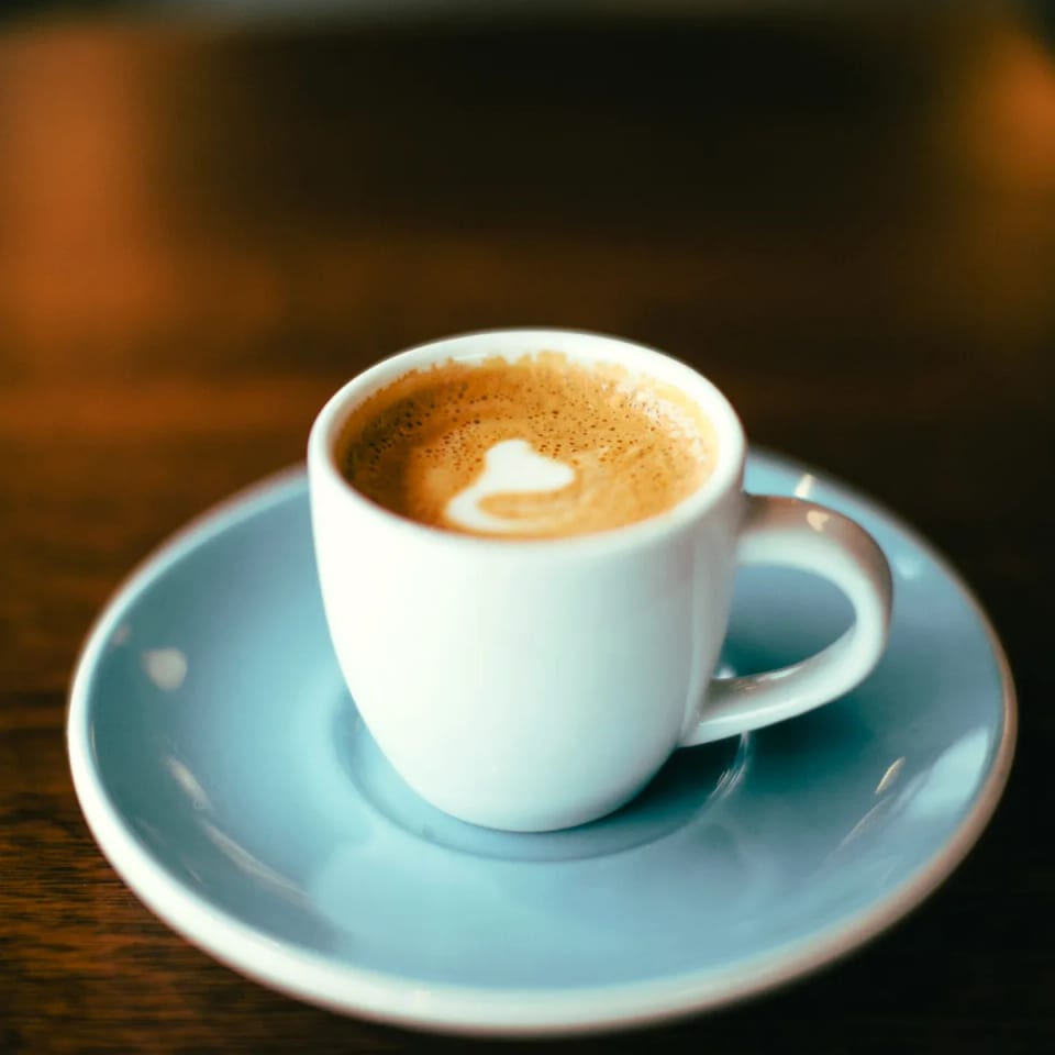 Shavi Coffee Roasters